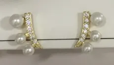 耳环
