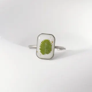 不锈钢镀金戒指真花几何绿植指环开口戒指